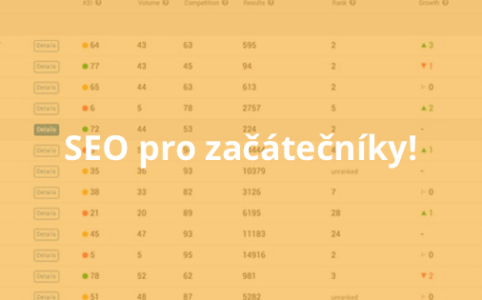 SEO pro začátečníky!